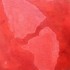 20130507222811-cinnabar_yap