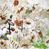 20130509180608-msm60p3
