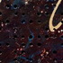 20130509200012-mollyenholm-untitled