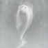 20130509210838-occurrence8_450