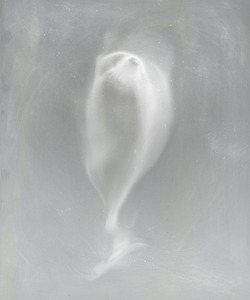 20130509210838-occurrence8_450