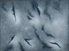 20130509233441-sh_lm17056_chasm_01_hr_crop3