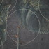 20130510095844-a_rose_is_a_rose_blow_up