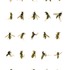 20130510145856-wasp30001a4