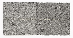 20130510205952-goldstein_leonard_6