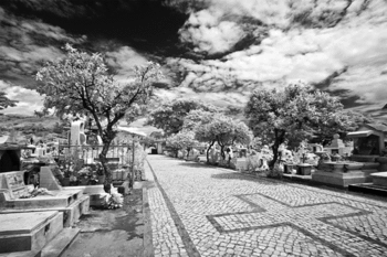 20130510235251-santa-cruz-cemetery