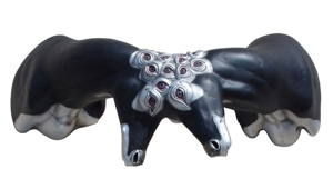 Blacksilvermultiocularcolli