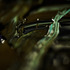 20130511180307-paint_130313_032-1
