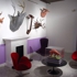 Trophyroom-2