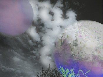 20130512015811-moon_blossoms2