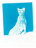 20130512162309-kalogiros_bluecheetah_2013