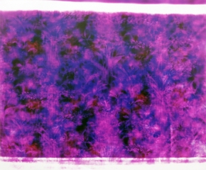 Purple Floral  ,Jason Kalogiros