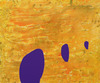 20130513095024-fcn1