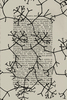 20130513122047-the_origin_of_species_after_darwin-072
