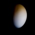 20130513150458-future_egg01