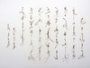 20130513180043-cf_tracingxv_001