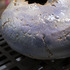 20130514010705-opstdinstdetailview2