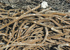 20130514221748-drj036__bits_pieces
