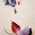 20130514224817-entropics