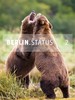 20130514233027-berlin_statusweb-460x615