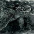 20130515165210-abdiel_acosta