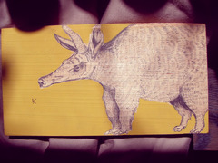 20130515221849-aardvarkking