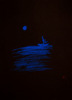 20130516194412-blue_sea