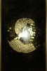 20130517160120-invite--formcontent-332793_0