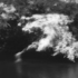 20130518002234-1