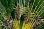 20130518033753-edenroad_1