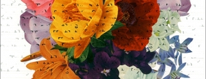 20130518084548-susan-sironi-bouquets
