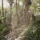 20130518114950-3_mask