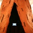 20130519091652-redwoodvideo