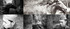 20130519112437-from-truck-driver-to-the-political-commissar-of-the-mounted-troops-video-still