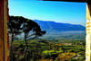 20130519171317-view_from_the_roomssd