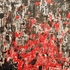 20130519210341-lacer-azioni_collages_-_bloody_asphalt__800x573_