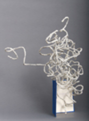 How to Think,Lisa Kokin