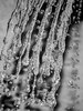 20130520091454-water12090