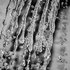 20130520091454-water12090