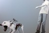 20130520230353-photo_web-300x202