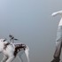 20130520230353-photo_web-300x202