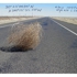 Stephan_pascher_tumbleweed_1167_126