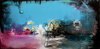 20130522030841-sandra_vucicevic__secret_treasures__2012__mixed_media_on_canvas__12_x_24