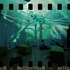 20130522033420-med_01_greensmall