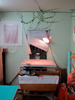 20130522165910-euh4_mattconnollywork_1