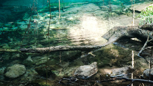 20130523221542-agua-de-la-vida