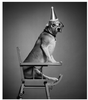 20130524172502-trudie_girls_erwin_olaf