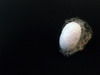 20130525041221-silentio-pathologia-01