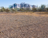 20130527162927-deckert_s_m_1