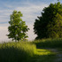 20130528184256-img_4568es